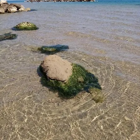 Il Riccio * אורטונה
